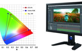 How to Adjust the Monitor for Correct Color Rendering