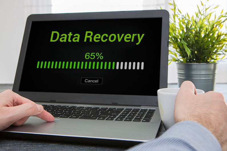 Know the Best File Recovery Software in the Market to Recover Your Lost Data Instantly